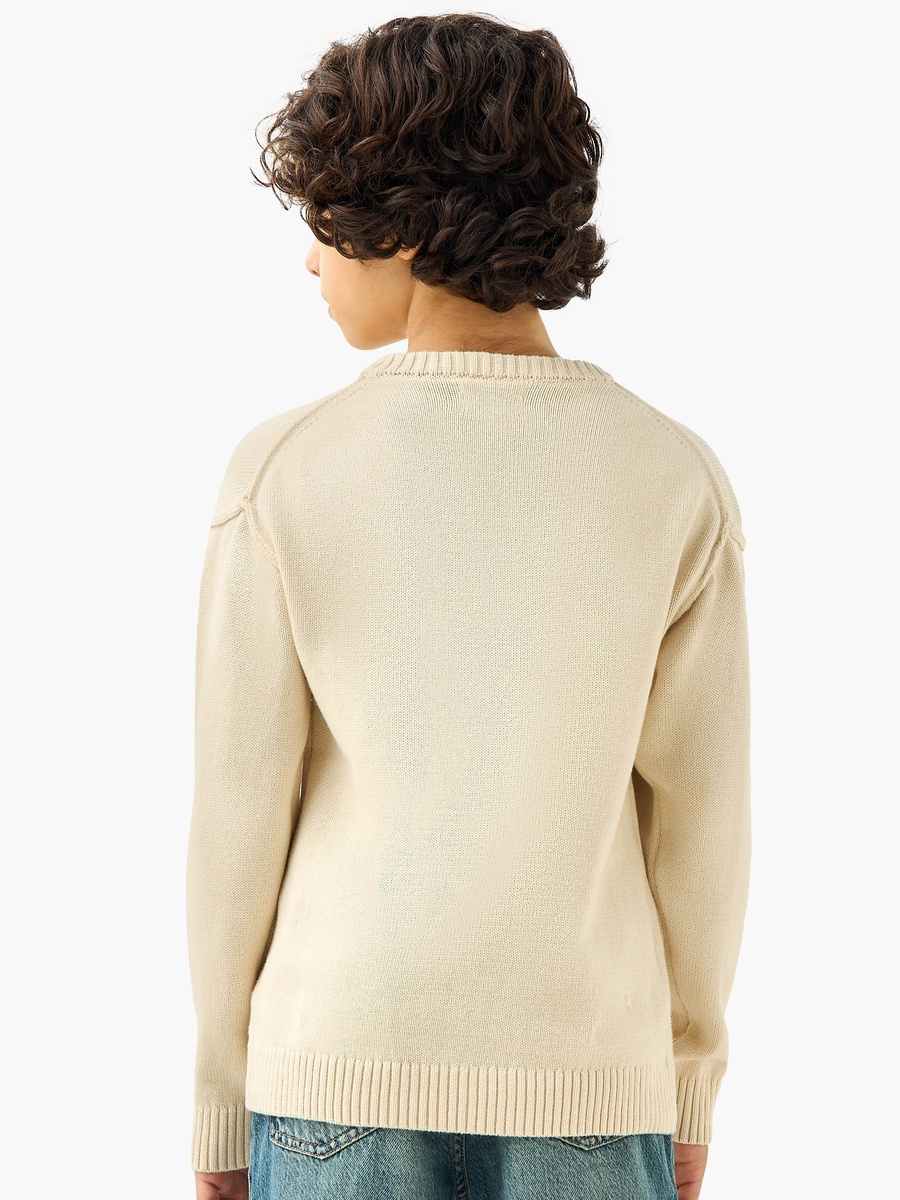 Textured Crew Neck Pullover with Long Sleeves