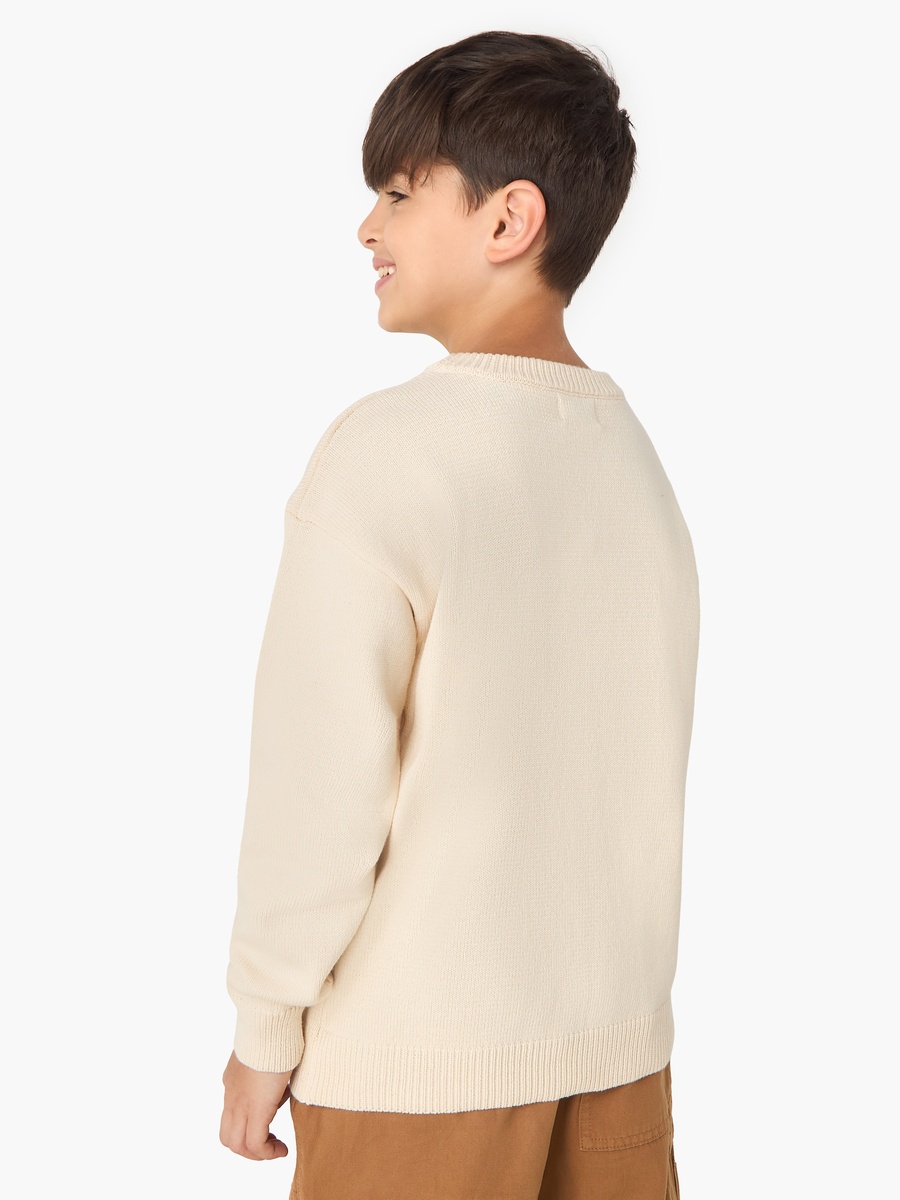 Printed Sweater with Long Sleeves
