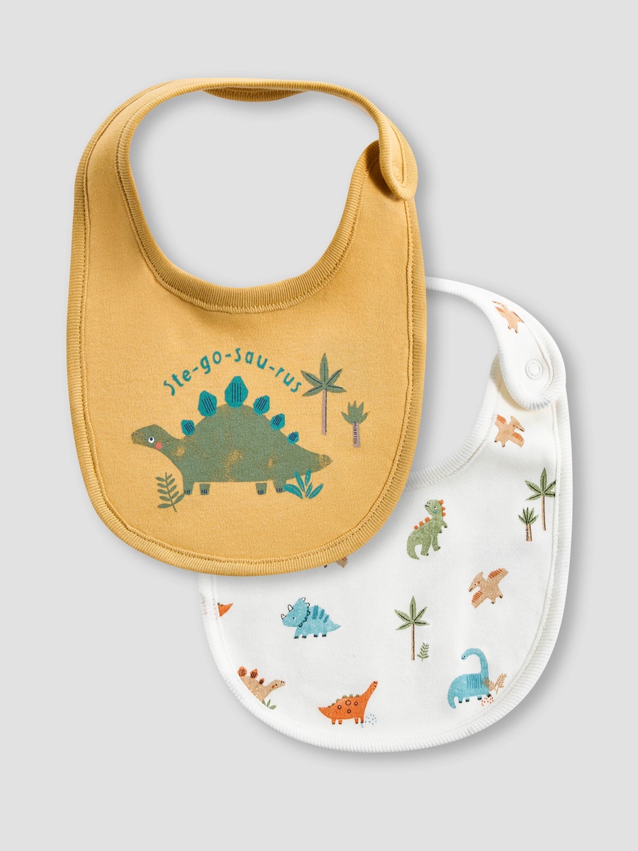 Assorted Bib - Set of 2