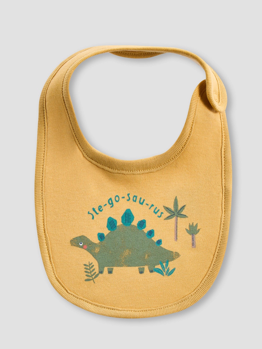 Assorted Bib - Set of 2