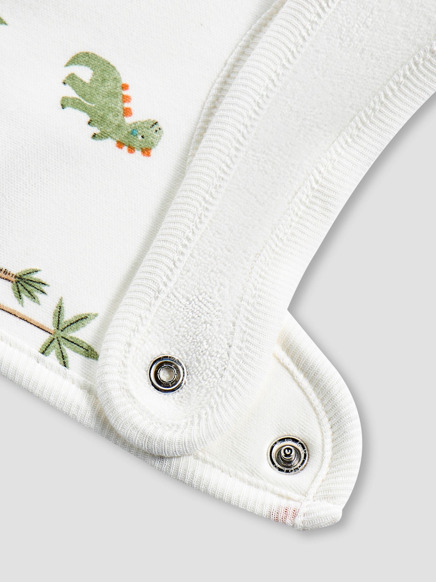 Assorted Bib - Set of 2