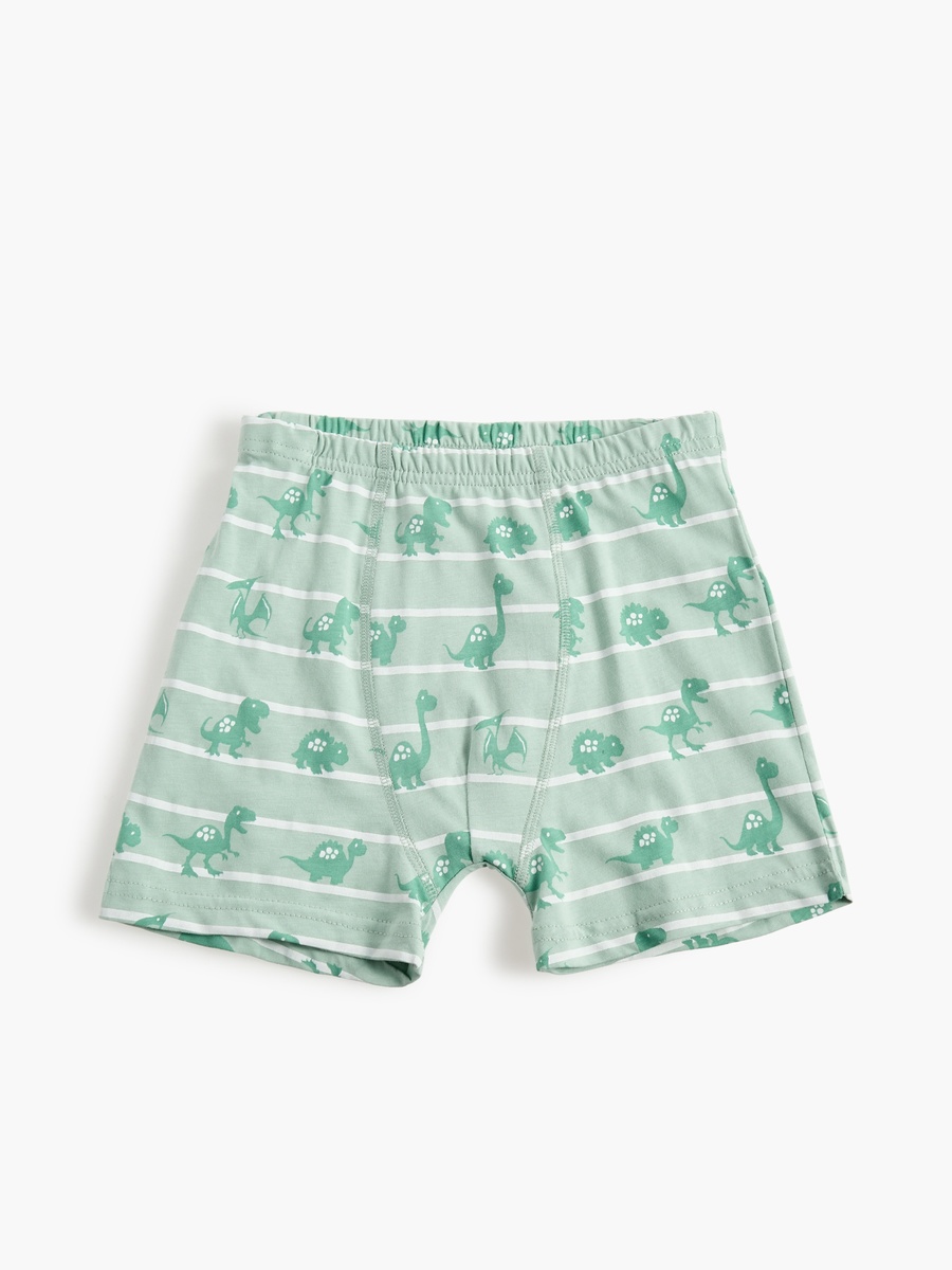 Printed Boxer Briefs - Set of 5