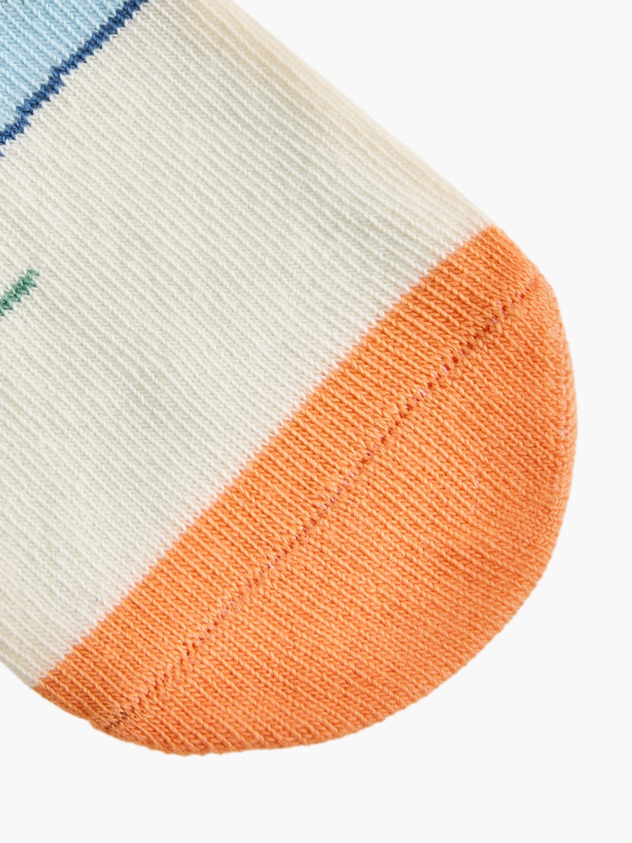 Printed Ankle Length Socks - Set of 3