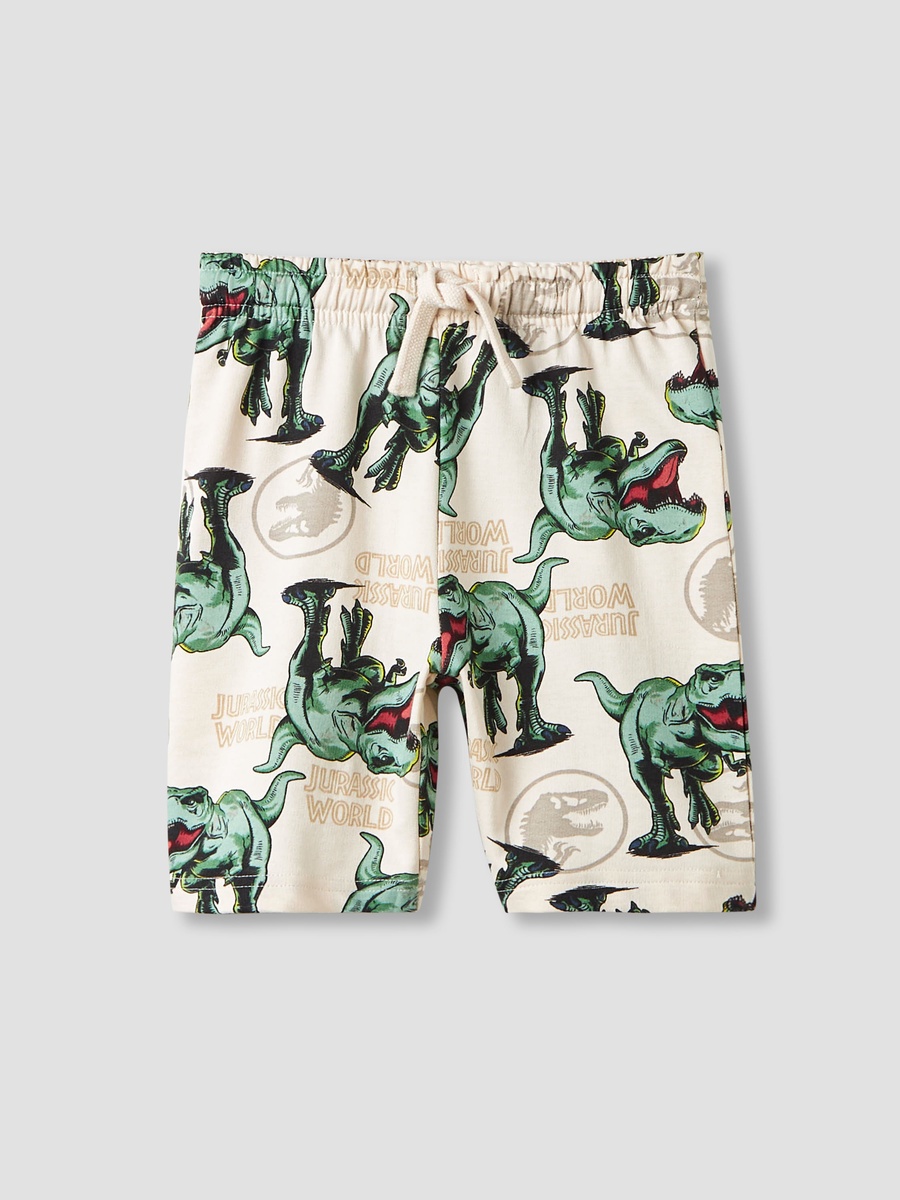 Dinosaur Print T-Shirt and Shorts Set
