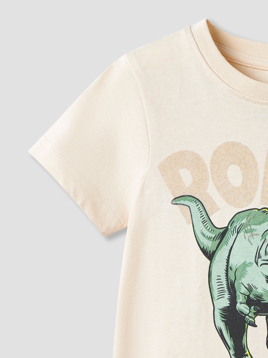 Dinosaur Print T-Shirt and Shorts Set
