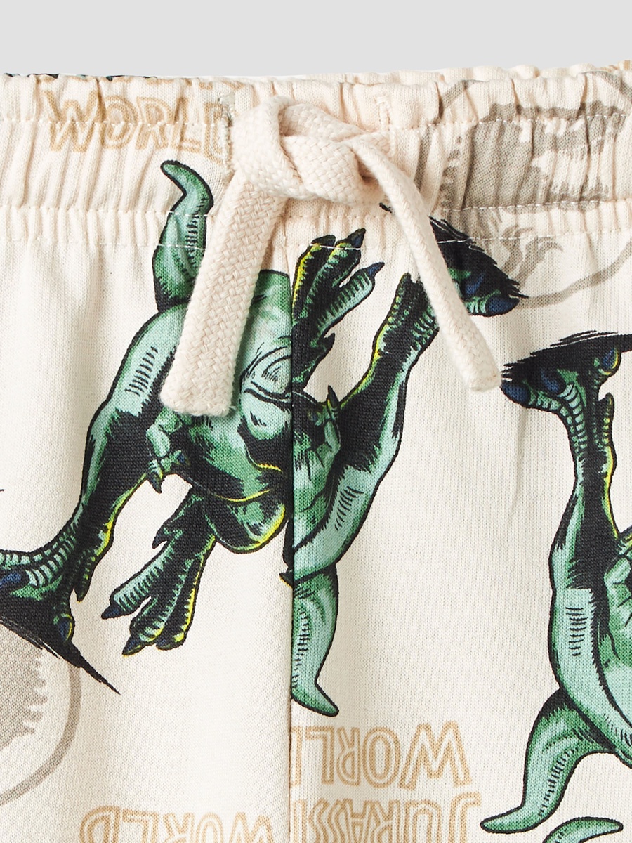 Dinosaur Print T-Shirt and Shorts Set