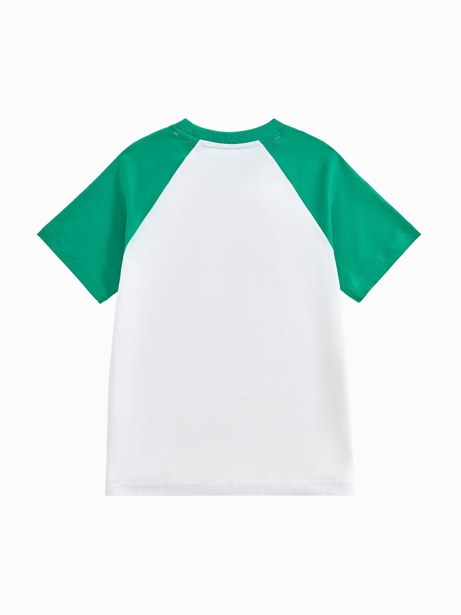 Short Sleeve T-Shirt with Contrast Sleeves and Front Print