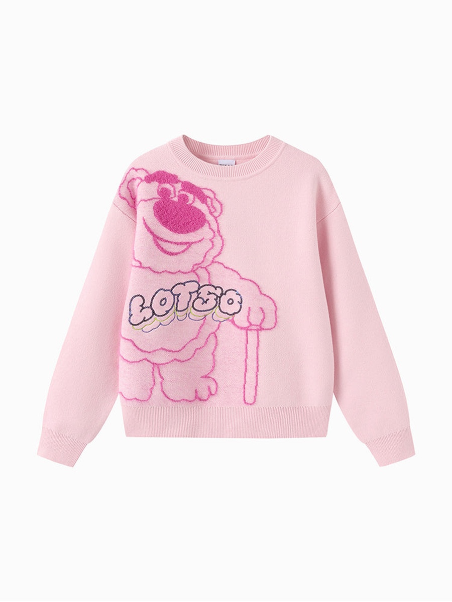 Lotso Embrodiered Sweater