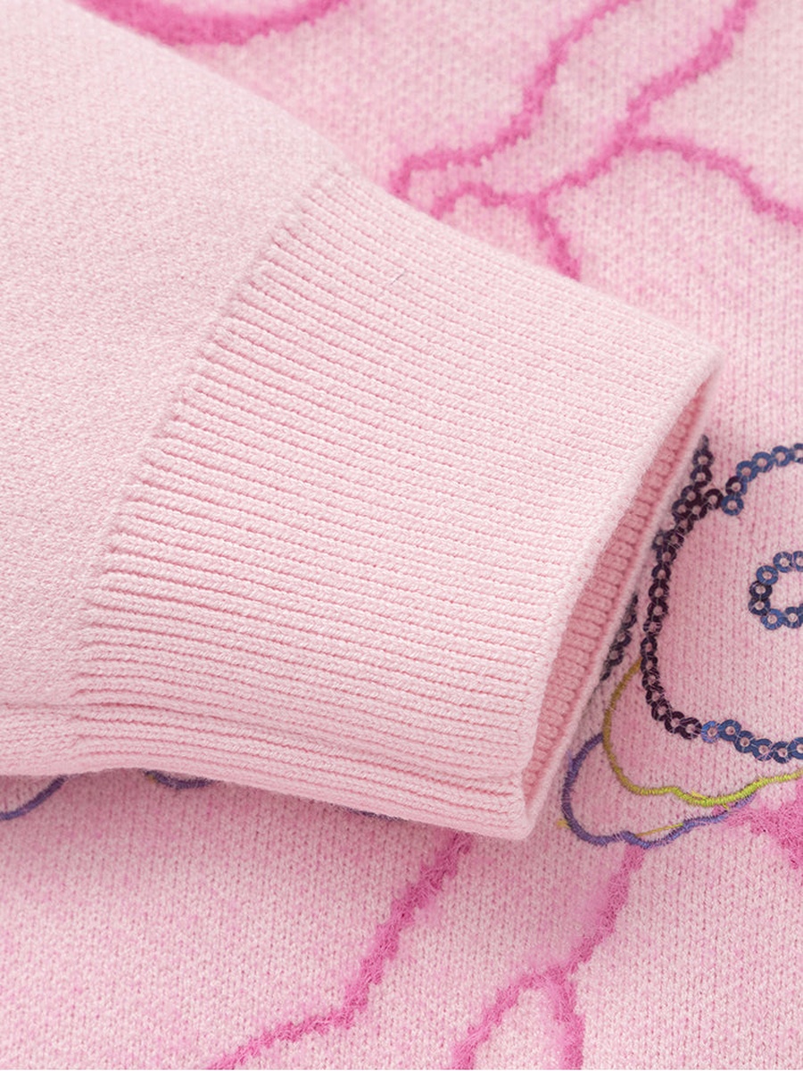 Lotso Embrodiered Sweater
