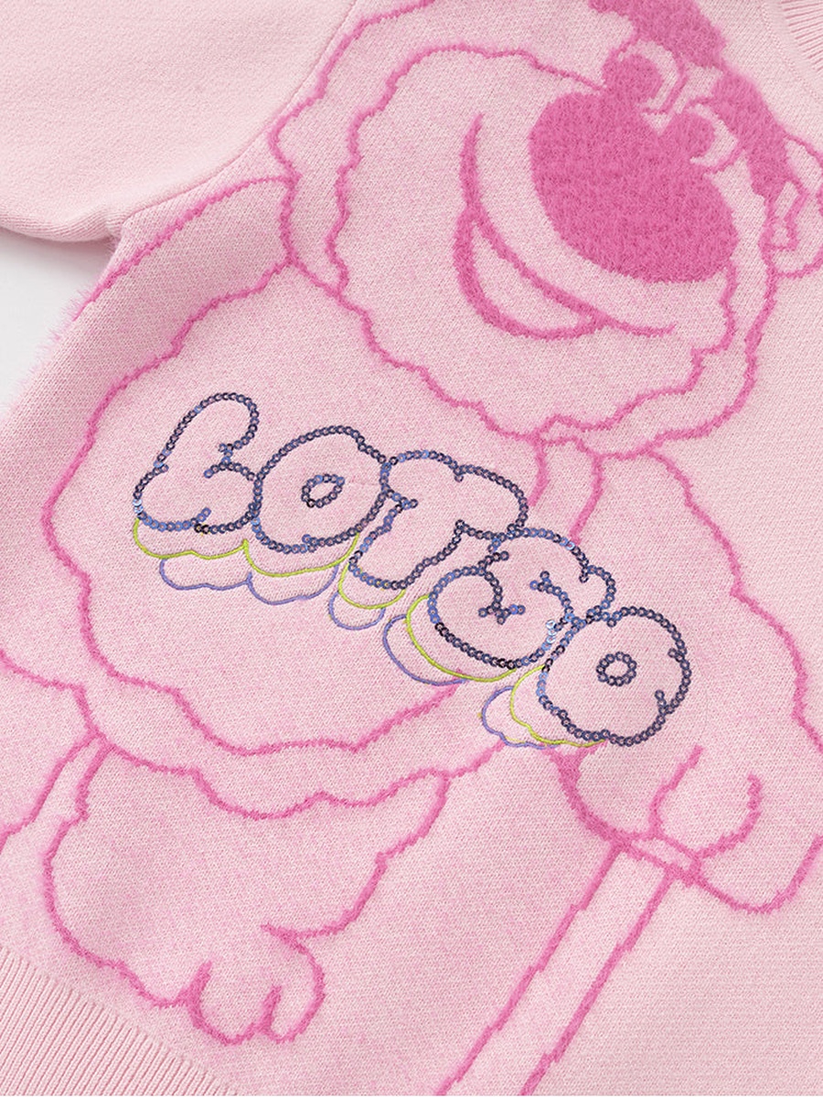Lotso Embrodiered Sweater