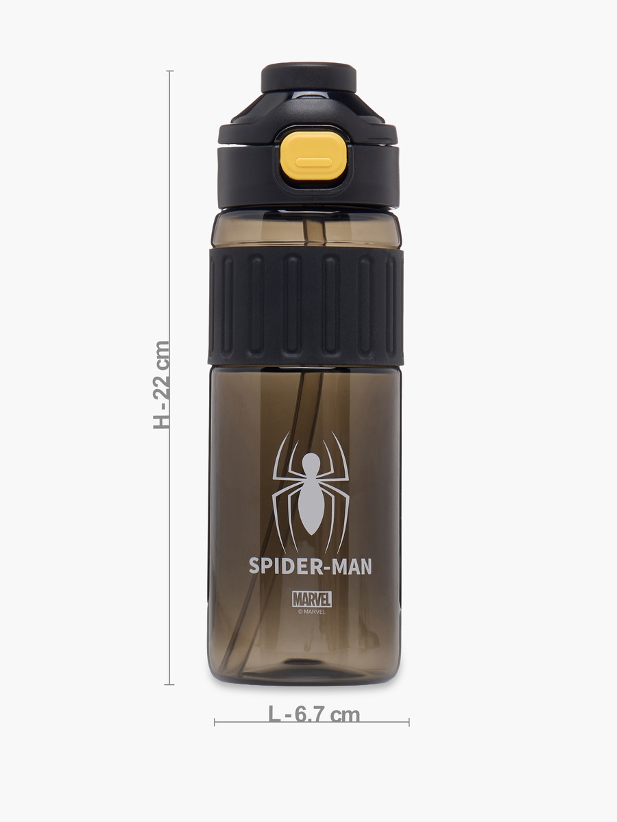 Spider-Man Print Water Bottle - 750 ml