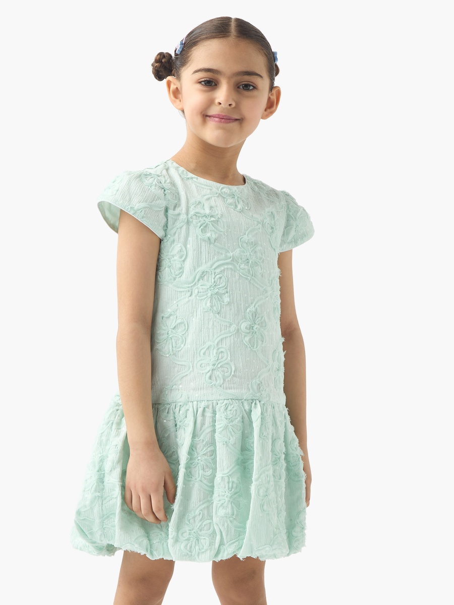 All-Over Floral Detail Drop Waist Balloon Dress