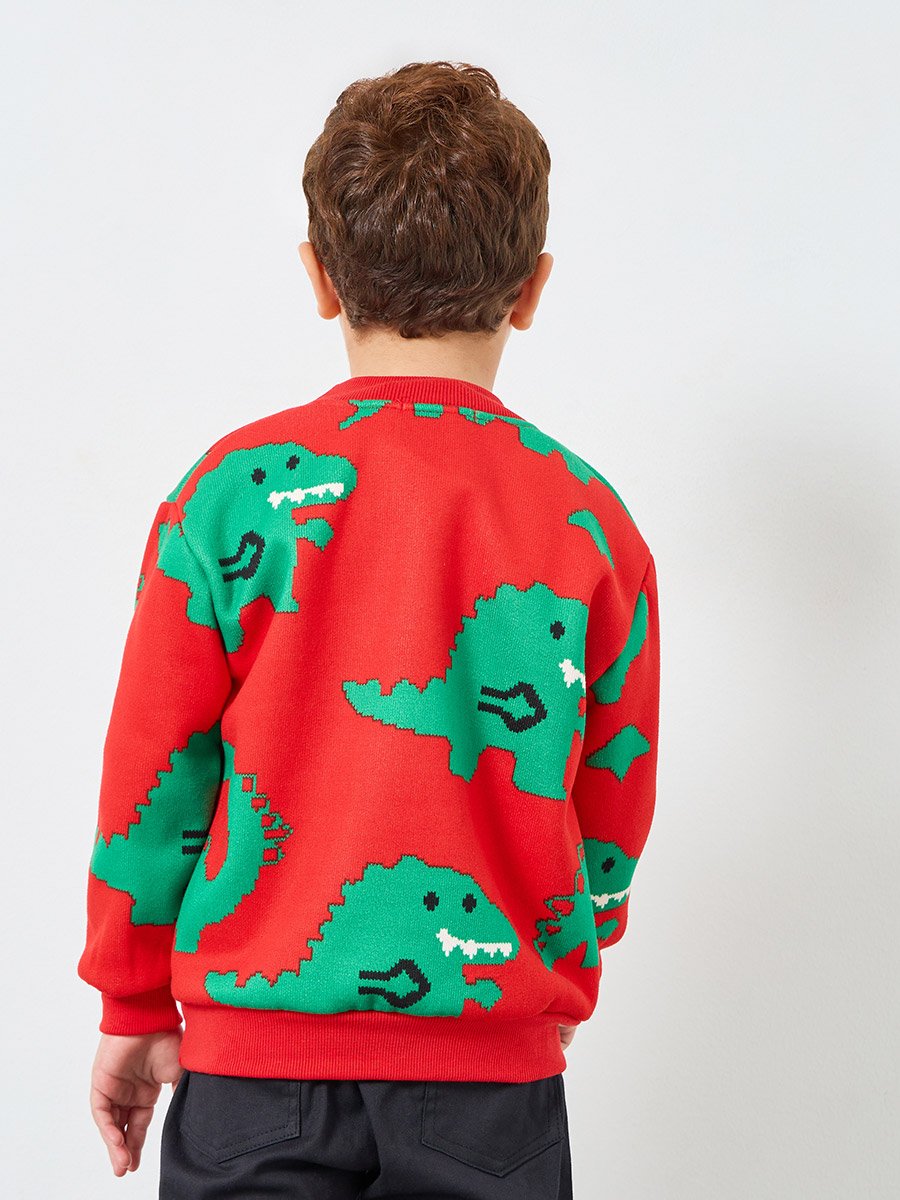 Boys Dino Graphic Knit Sweaters