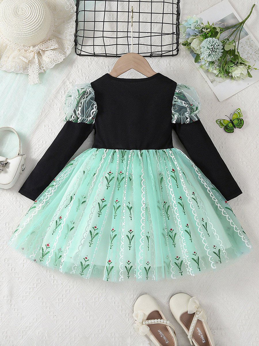 Girls Floral Embroidered Mesh Hem Dress