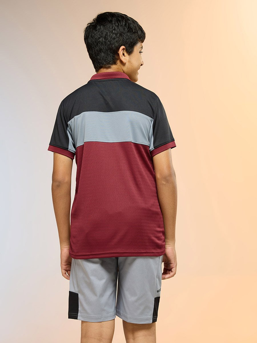 Boys Slim Fit Color Block Polo T-Shirt