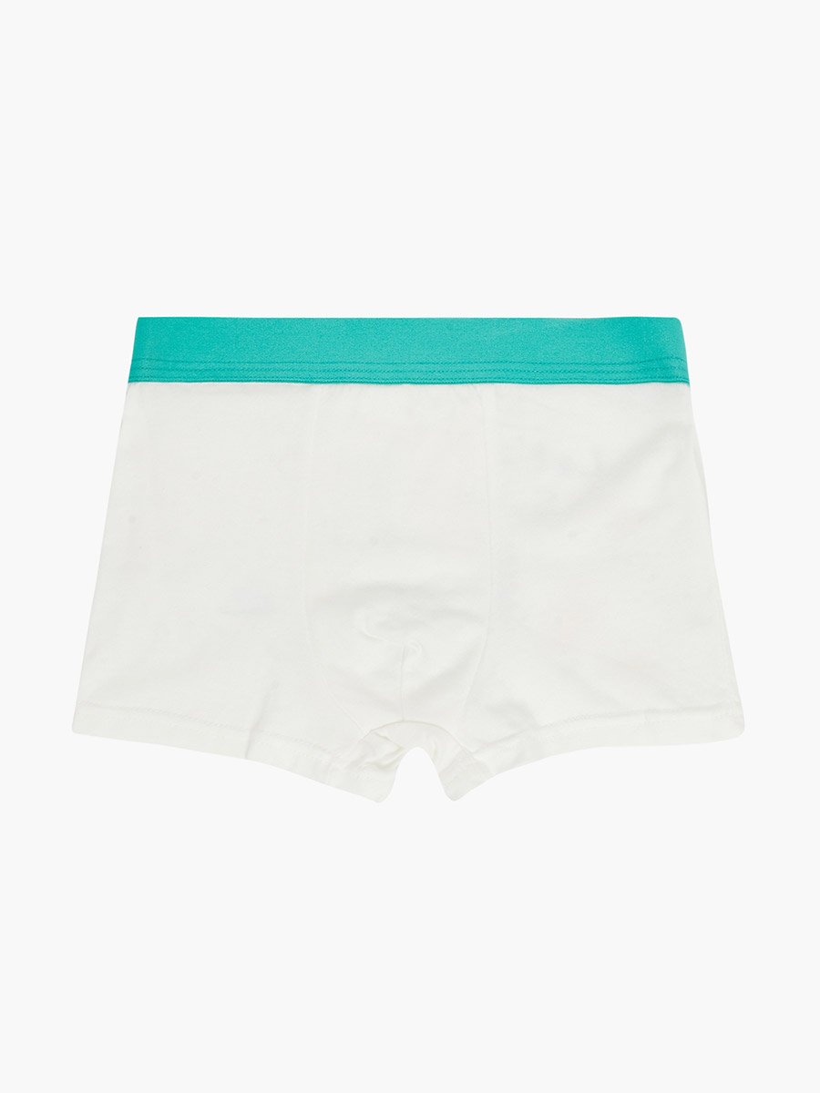 Pack of 4 - Boys Printed Cotton Boxers
