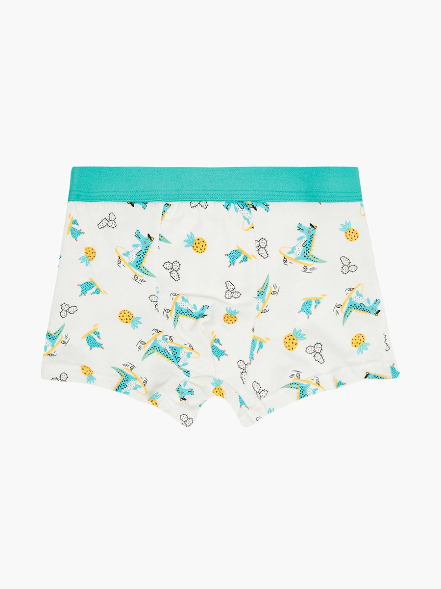 Pack of 4 - Boys Printed Cotton Boxers