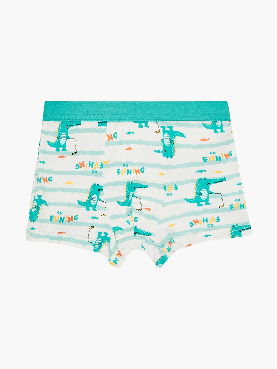 Pack of 4 - Boys Printed Cotton Boxers