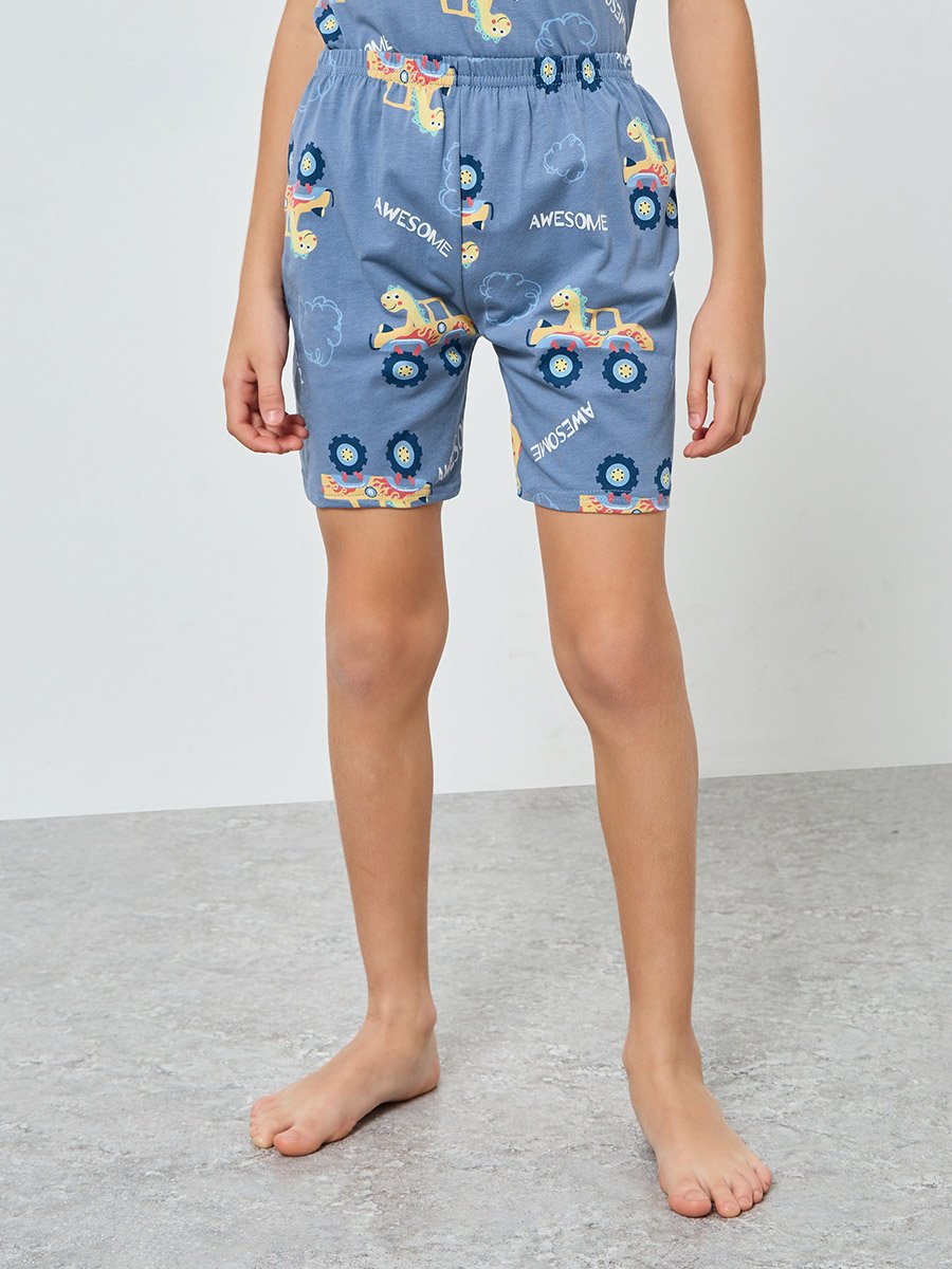 Boys Printed T-Shirt and Shorts Pyjama Set