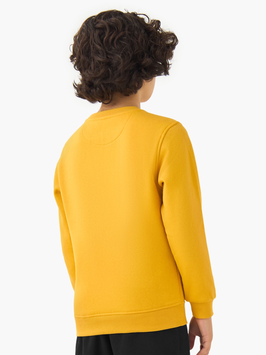 Print Crew Neck Sweatshirt with Long Sleeves