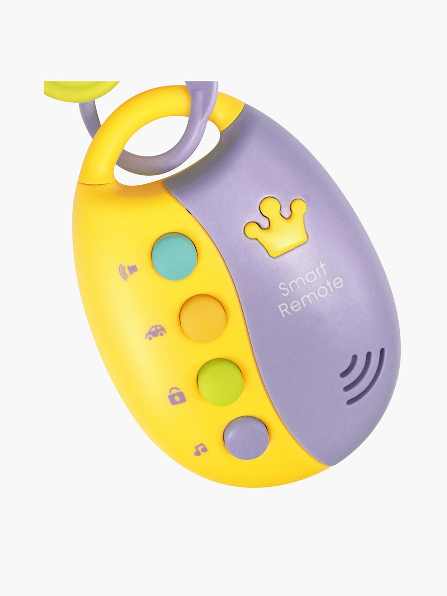 Smart Remote Toy