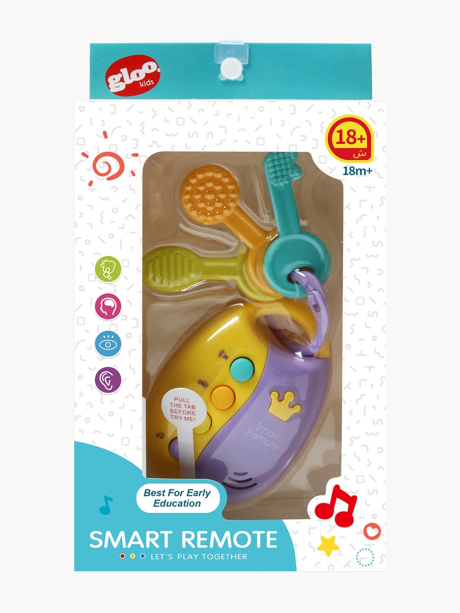 Smart Remote Toy