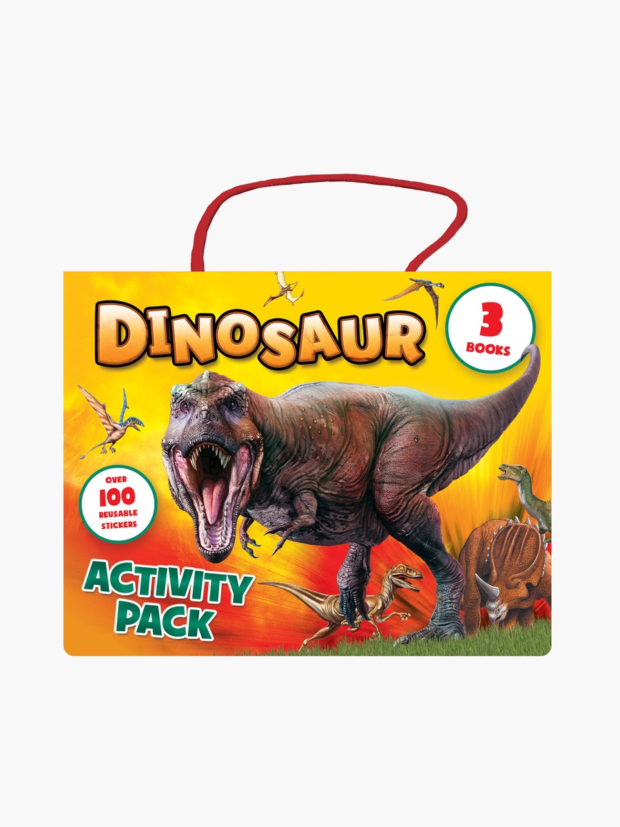 Dinosaur Activity Set