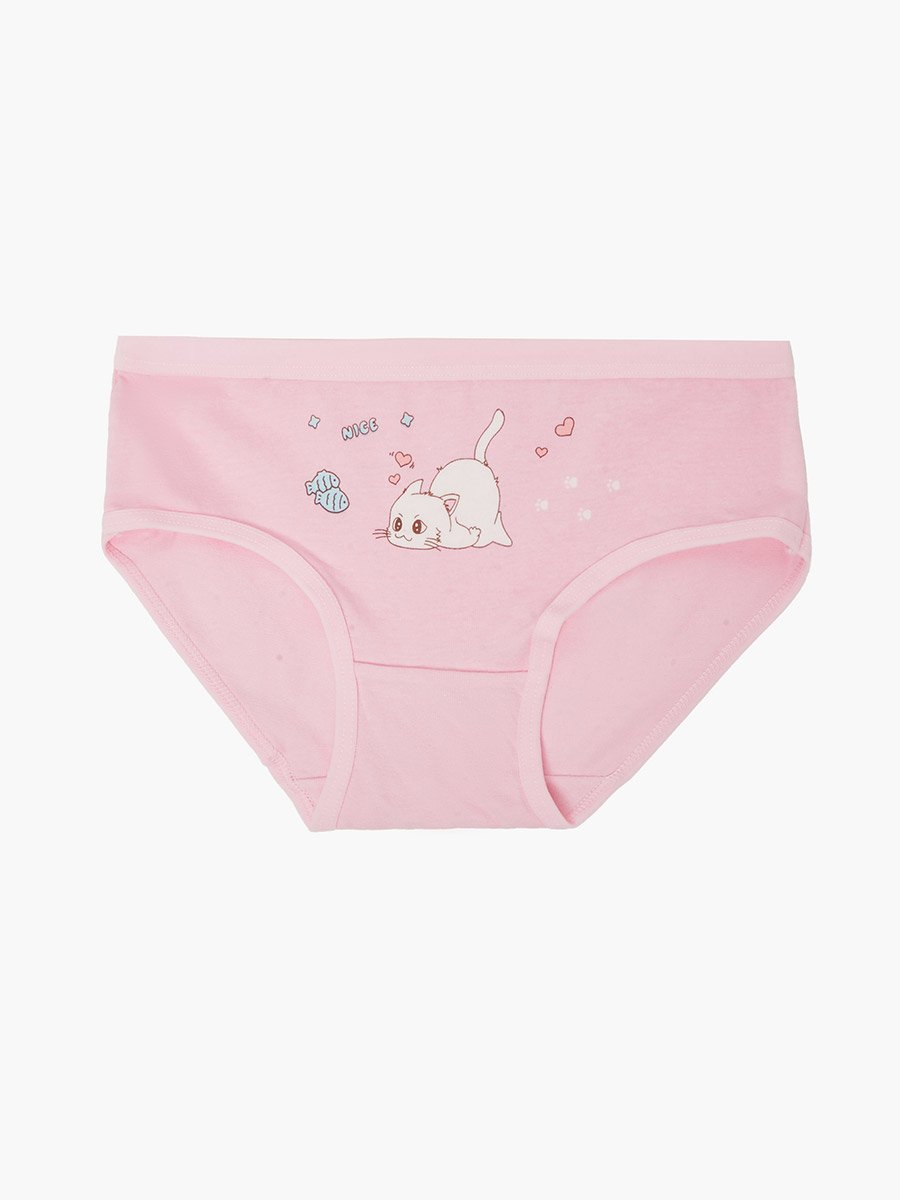 Pack of 4 - Printed Cotton Briefs