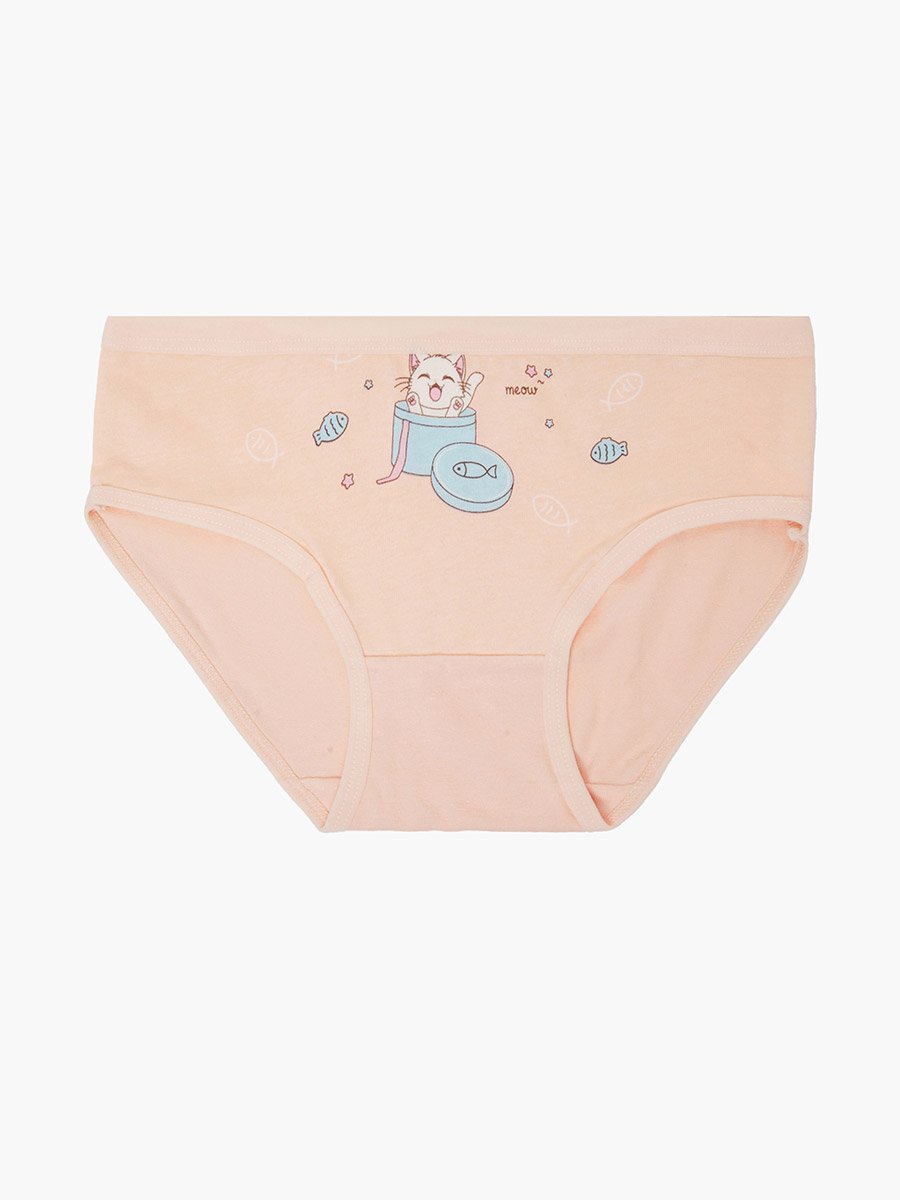 Pack of 4 - Printed Cotton Briefs