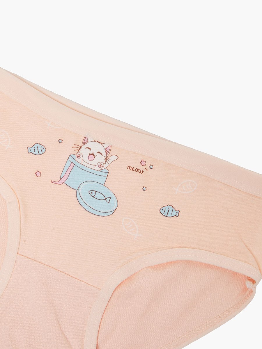 Pack of 4 - Printed Cotton Briefs
