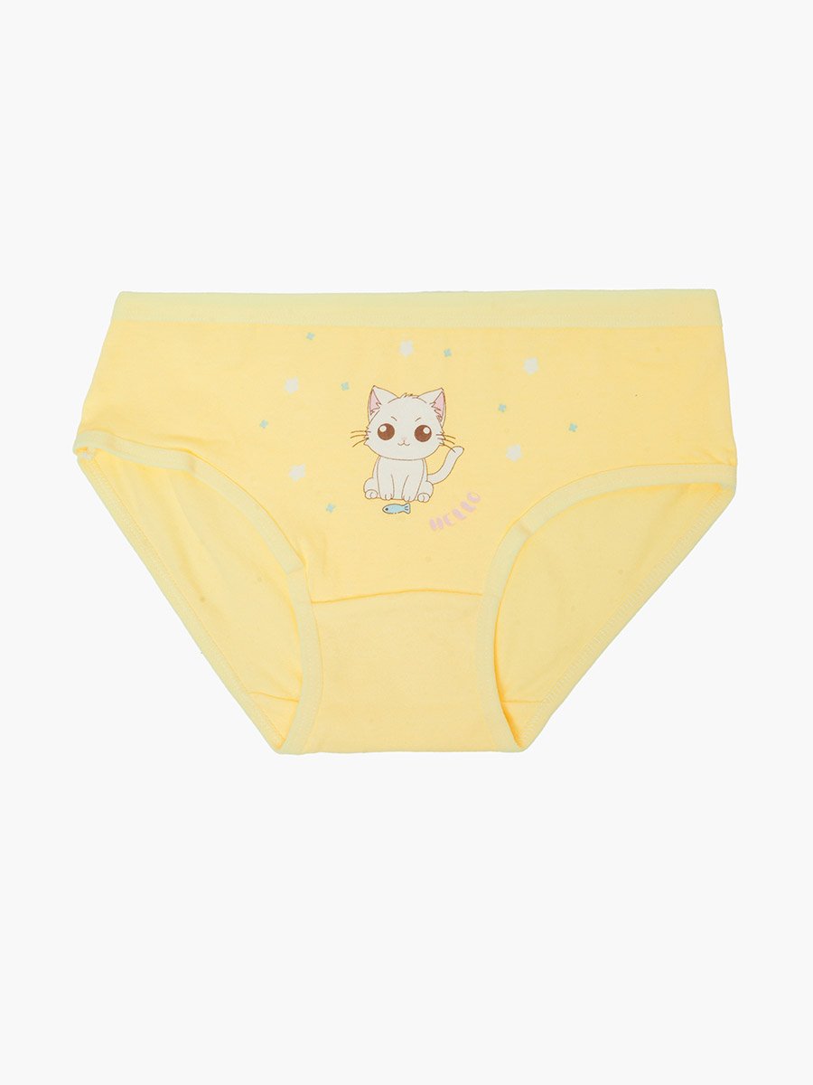 Pack of 4 - Printed Cotton Briefs