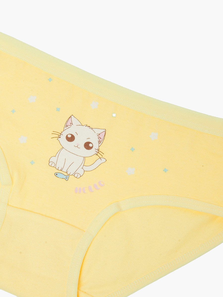 Pack of 4 - Printed Cotton Briefs