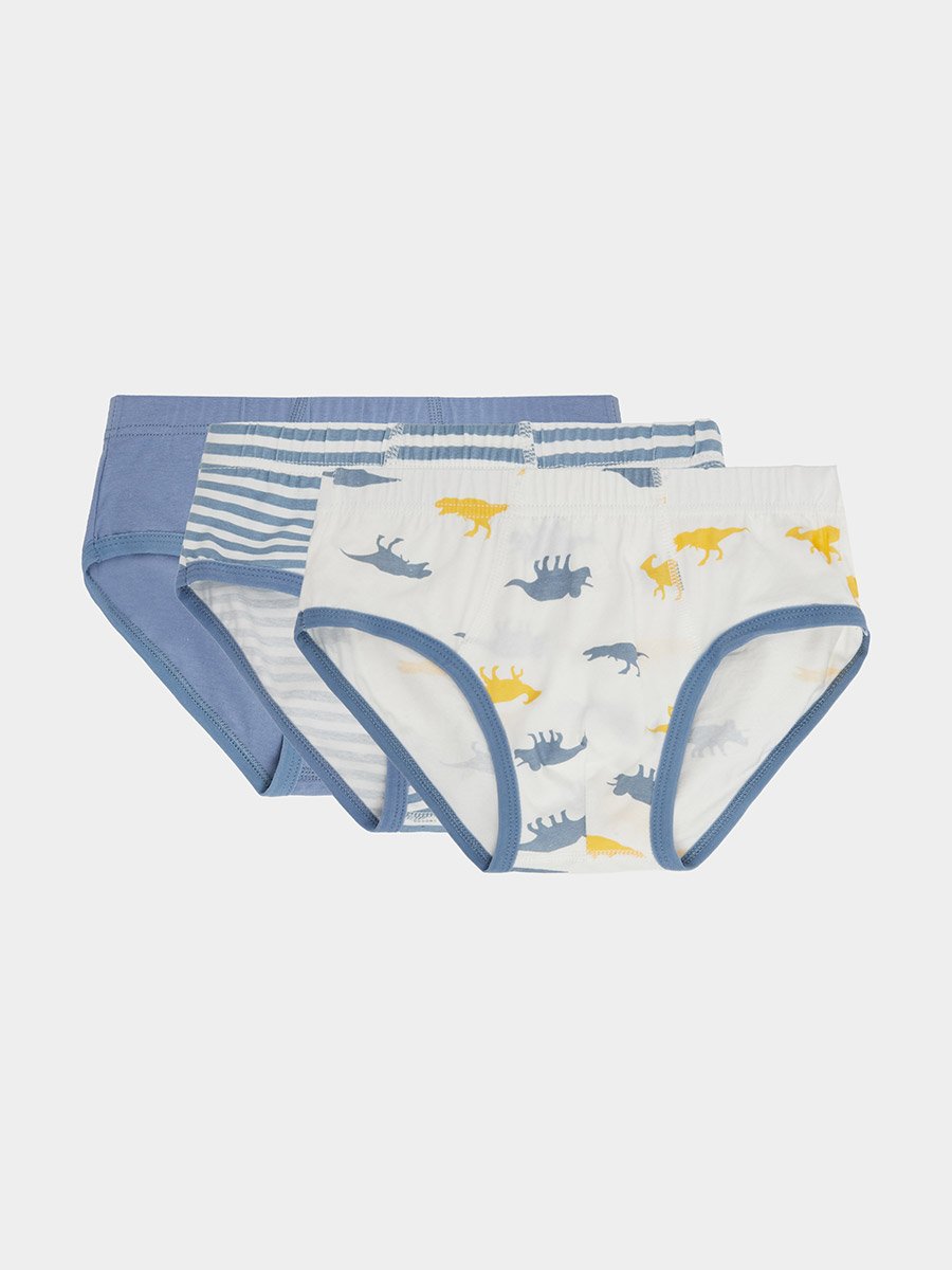 Pack of 3 - Boys Printed Cotton Briefs