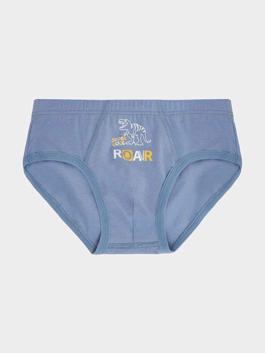 Pack of 3 - Boys Printed Cotton Briefs