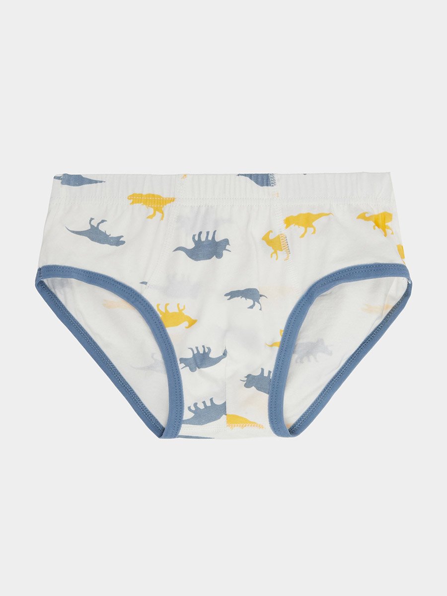 Pack of 3 - Boys Printed Cotton Briefs