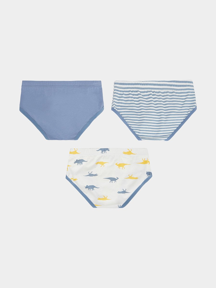 Pack of 3 - Boys Printed Cotton Briefs