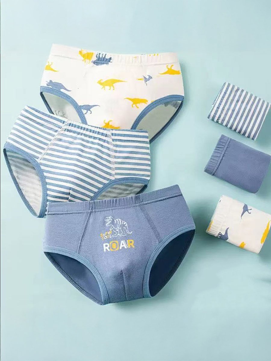 Pack of 3 - Boys Printed Cotton Briefs
