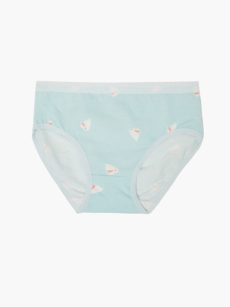 Pack of 4 - Printed Cotton Briefs