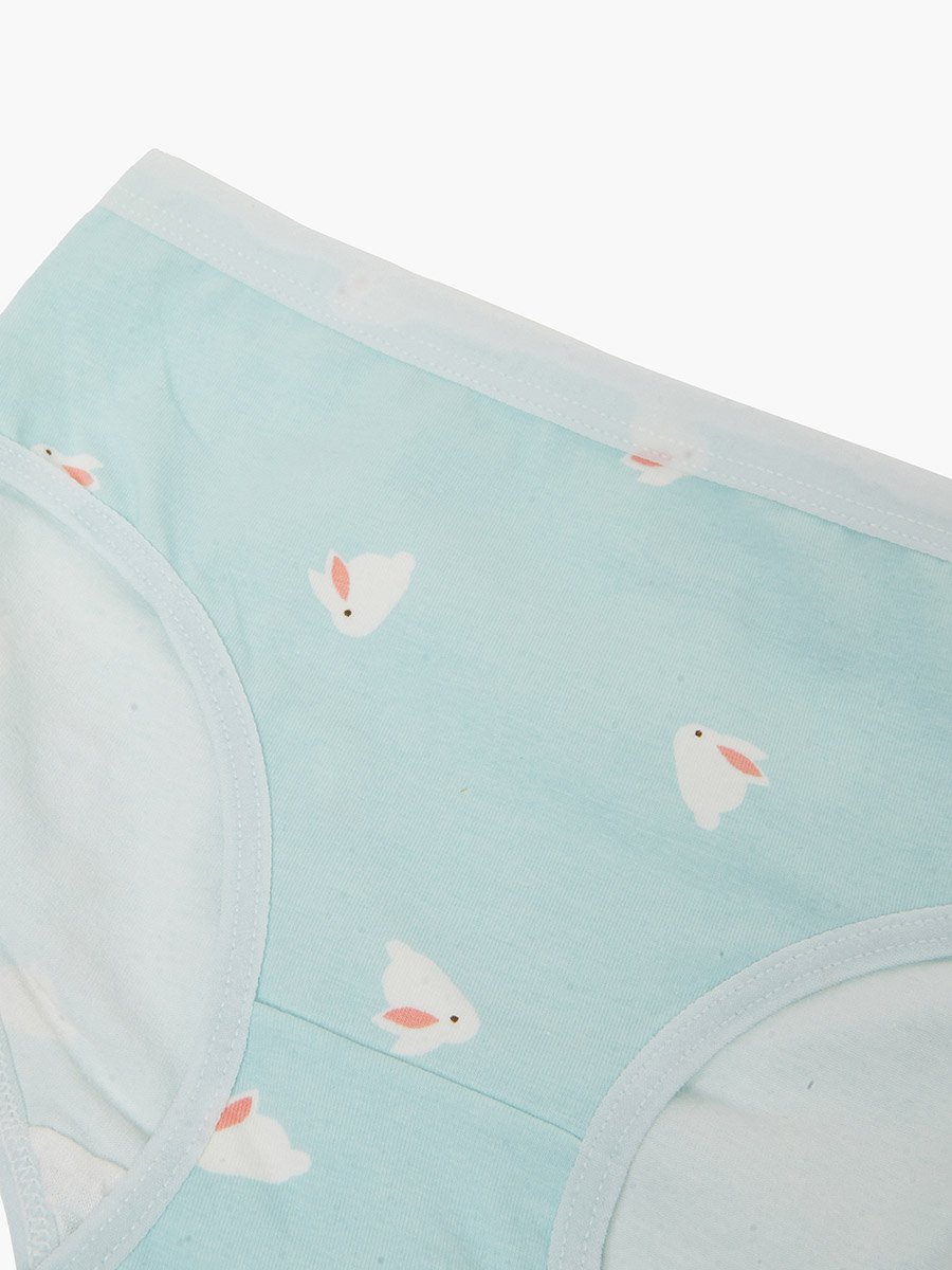 Pack of 4 - Printed Cotton Briefs