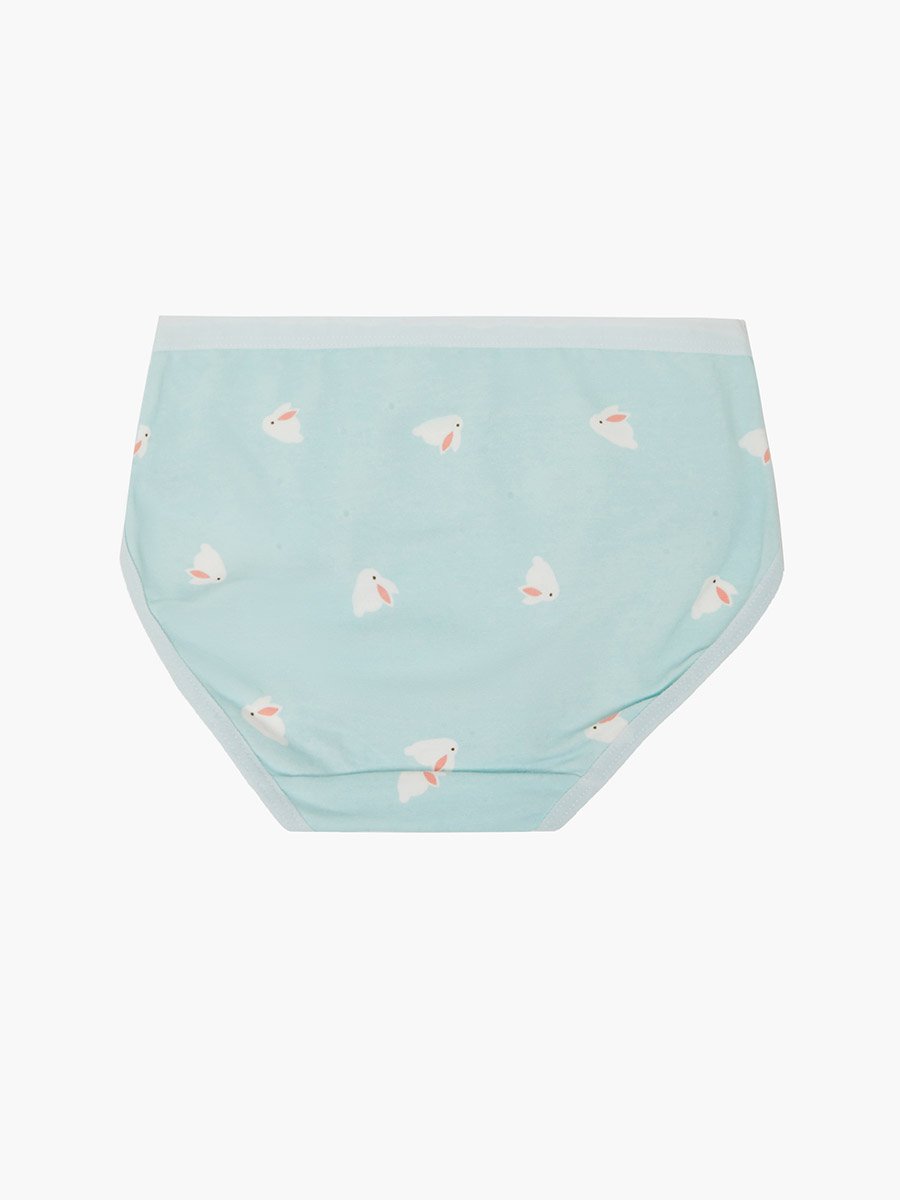 Pack of 4 - Printed Cotton Briefs