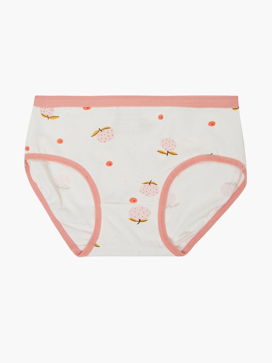 Pack of 4 - Printed Cotton Briefs