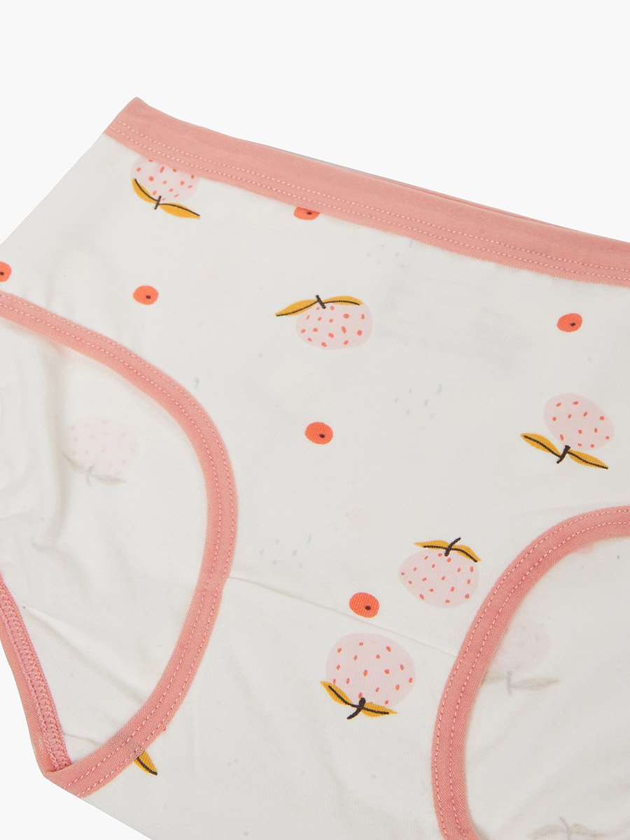 Pack of 4 - Printed Cotton Briefs