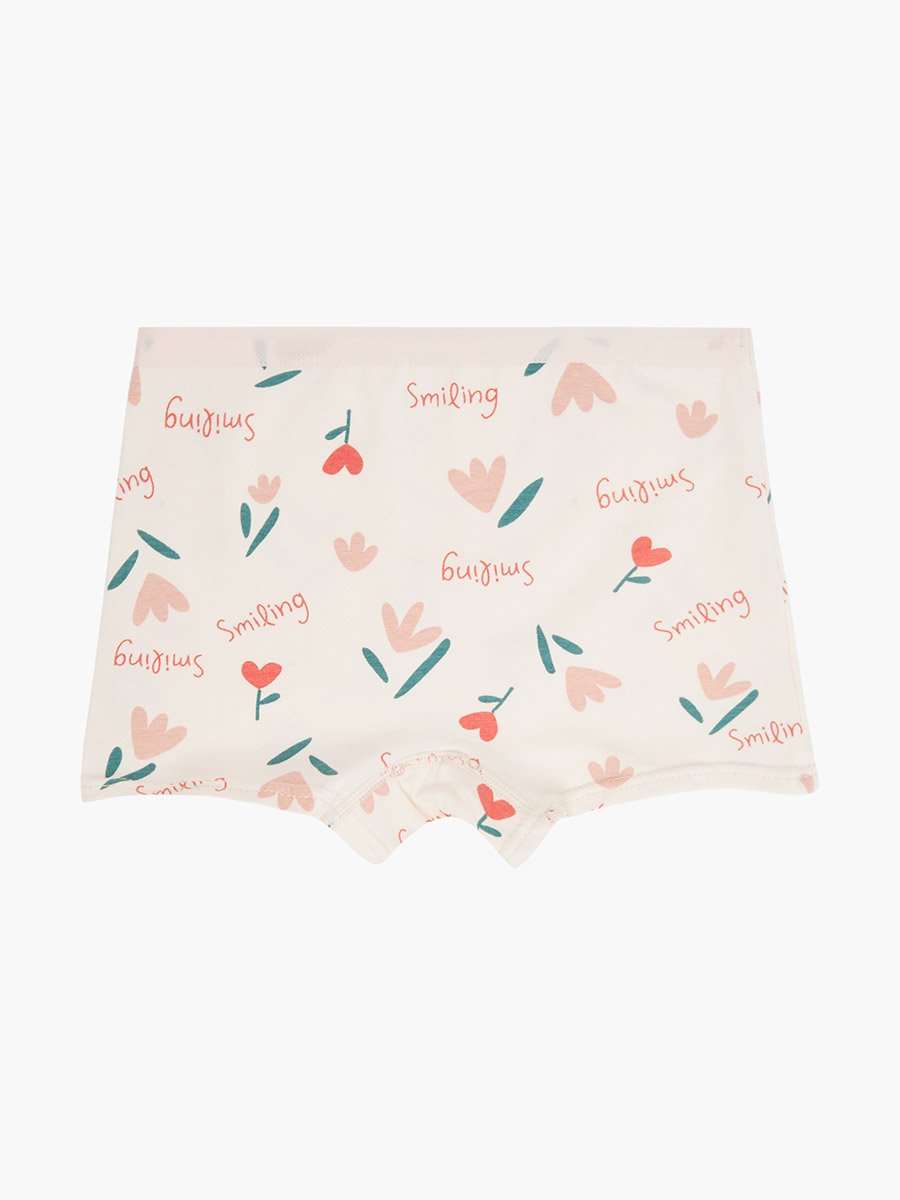 Pack of 4 - Girls Printed Cotton Briefs