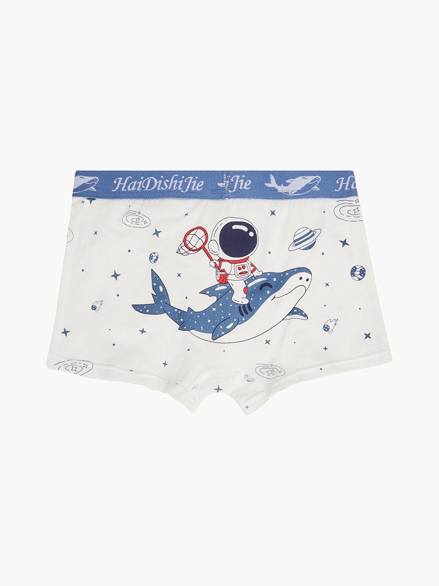Pack of 4 - Boys Printed Cotton Boxers