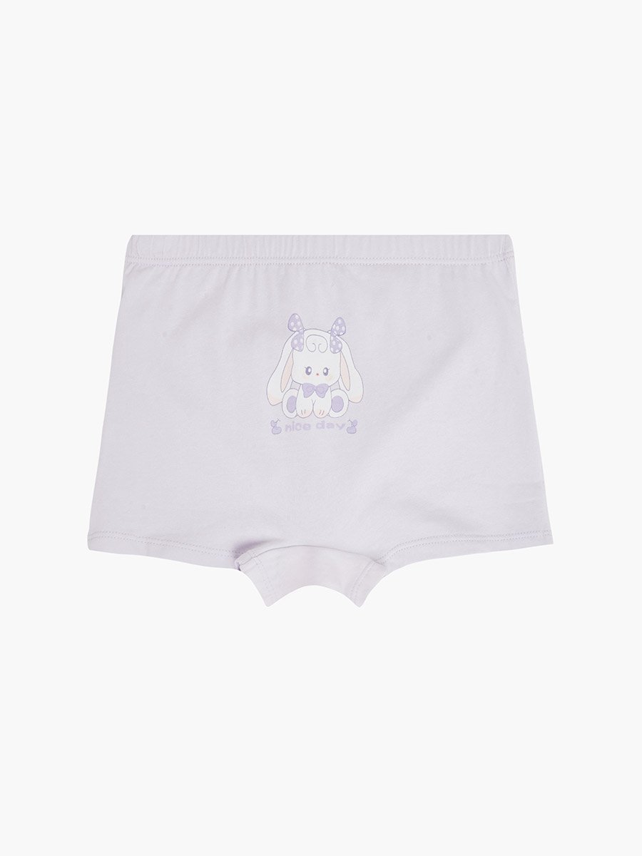 Pack of 4 - Girls Printed Cotton Briefs