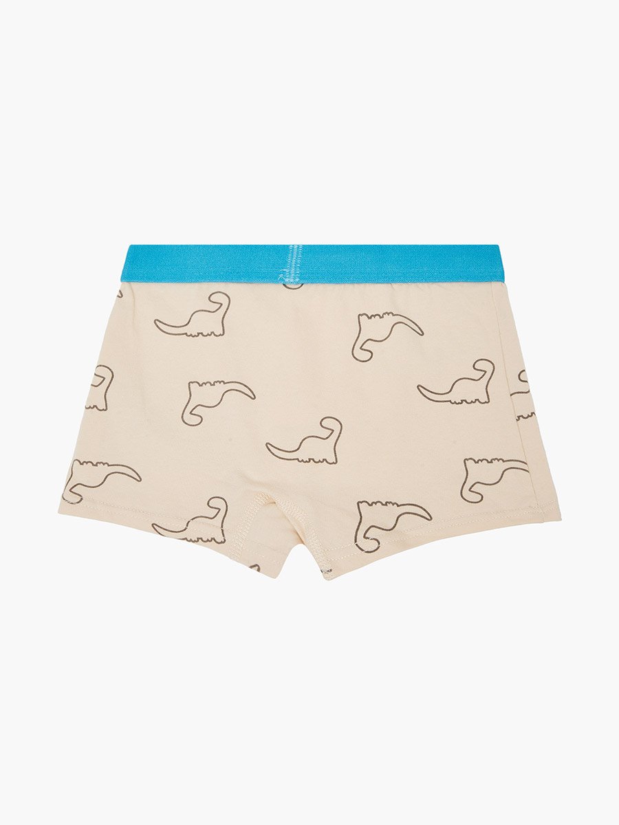 Pack of 4 - Boys Printed Cotton Boxers