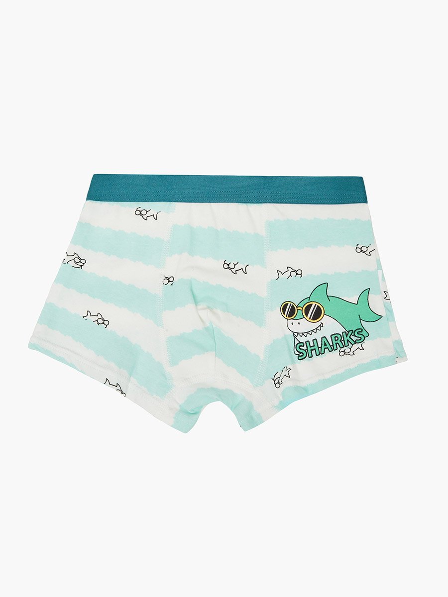 Pack of 4 - Boys Printed Cotton Boxers