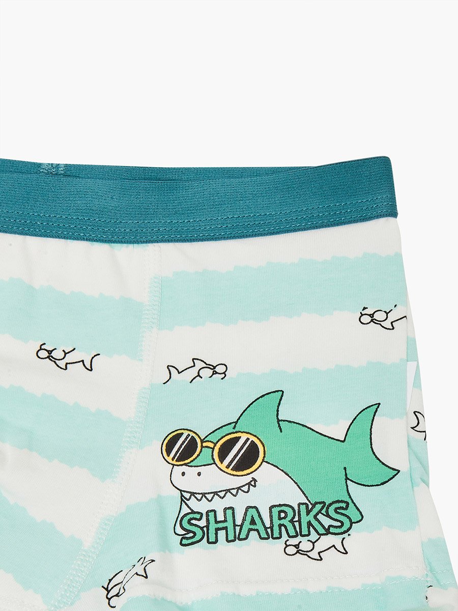 Pack of 4 - Boys Printed Cotton Boxers