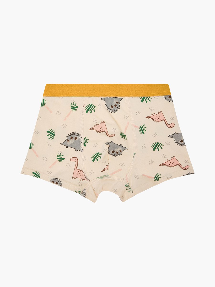 Pack of 4 - Boys Printed Cotton Boxers