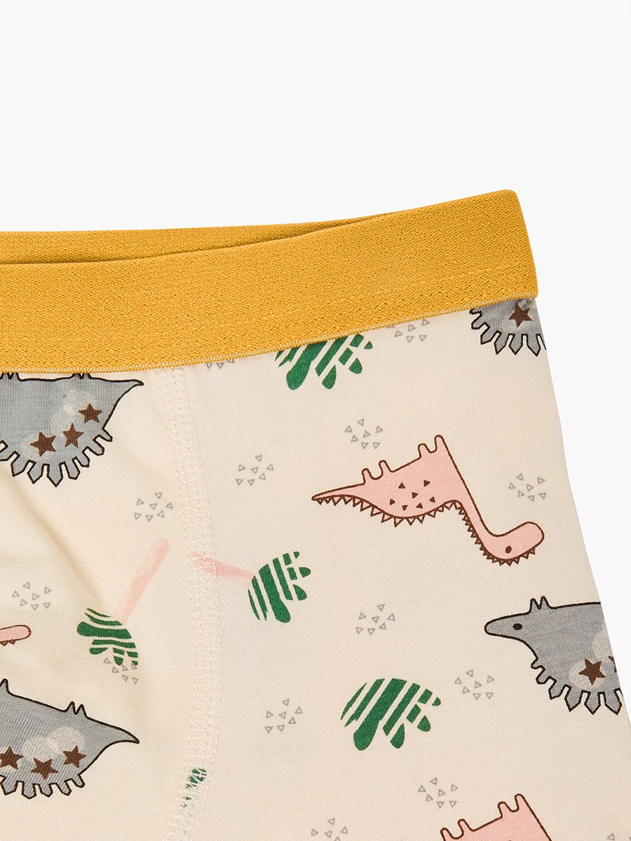 Pack of 4 - Boys Printed Cotton Boxers